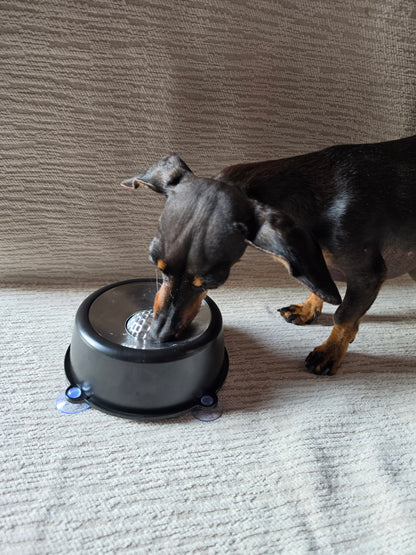 Slurp & Chill Lick Bowl™